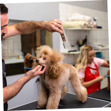 Дерев'яна щітка для грумінгу собак та котів BESPORTBLE - щітка для видалення ковтунів та догляду за шерстю