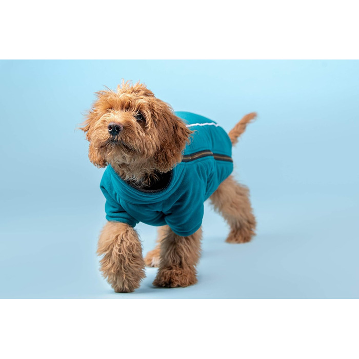 Теплий зимовий костюм для собак BoxDog з поларфлісу, блакитний | для маленьких собак, тепла піджака для собак