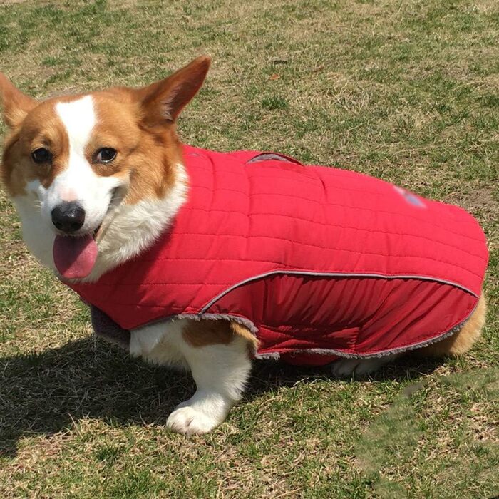Зимова куртка для собак, теплий пуховик-мандель для тварин, костюм для собак, червоний, розмір M (43-53 см)