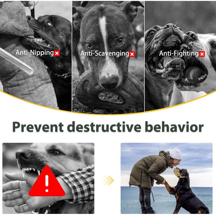 Майерзон Намордник для собак Пітбуль, Ротвейлер, Стаффордширський тер'єр - запобігання укусам, догляд за шерстю, дозволяє пити, зелений, розмір M (Snout Cir: 9.75'-11')