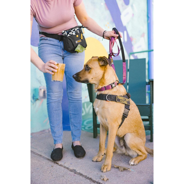 OllyDog Backcountry Tagestasche - Сумка для цуценят OllyDog Backcountry, для тренувань собак, з кишенькою для ласощів та відсіком для відходів, знімний кліпса для пояса (Raven S'25)