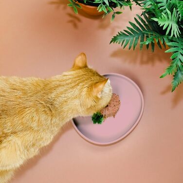 Миска для котів ne&no Nala Collection - широка силіконова миска для корму | Миска для котячого корму | Силіконова миска для котів (рожевий)