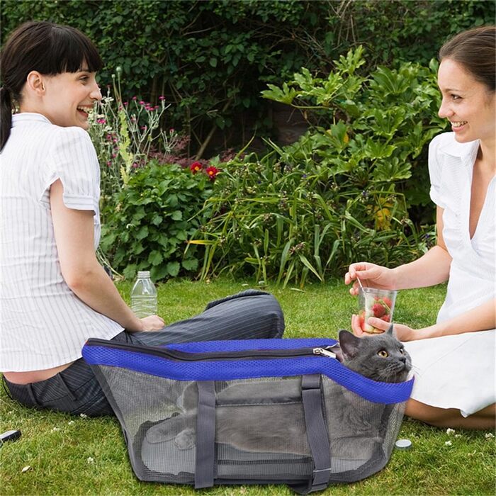 Транспортна сумка для тварин: переноска для маленьких собак, котів та інших дрібних тварин (блакитна)