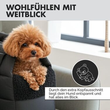 PAW WOW переносна сумка для собак SARA | стильна переноска для маленьких собак | водо- та вітростійка | з підкладкою з тедді, регульований плечовий ремінь, зовнішня кишеня (Чорний)