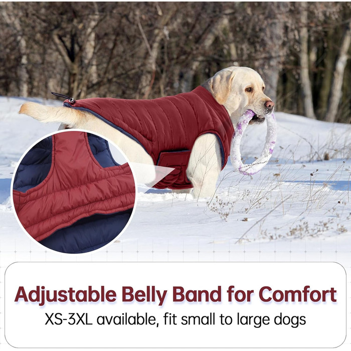 Водонепроникний та вітронепроникний зимовий одяг для собак Lelepet, теплий та легкий, для малих порід, з регульованою застібкою та отвором для повідка, Чіхуахуа, зелений, розмір 3XL, бордовий