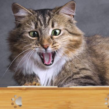 Набір мисок для котів та собак Relaxdays 3 шт. з бамбука та кераміки, для води та корму, миюча посудомийна машина