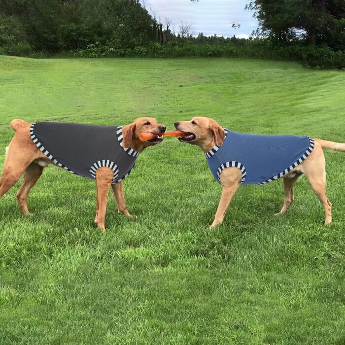 Сорочки для собак 2 шт. (Сірий, Синій) 3XL, захист від сонця, дихаючі, без рукавів, для великих собак, Golden Retriever, літо
