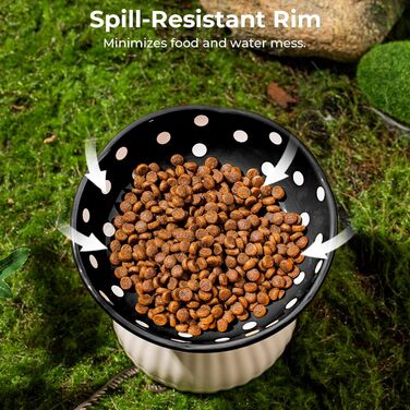 Підвищений годівниця для котів, керамічна миска у формі гриба, широка та плоска годівниця для котів зі стійкою, миска проти блювоти для котів, миска для кошенят та літніх котів (чорна)