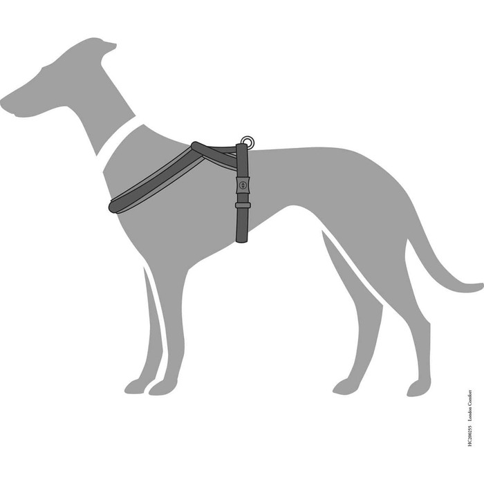 Шлейка для собак HUNTER LONDON COMFORT, дихаюча сітка 3D, 2-ступеневе регулювання, надійна застібка, міцна, легка та зручна в догляді, колір: антрацит, розмір: L/1