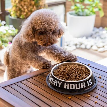 Миски для собак Fisura Dog Bar з нержавіючої сталі, рожеві та червоні, 500 мл + 1000 мл