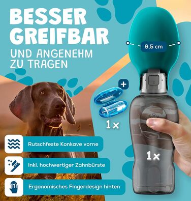 Набір з 2-х: велика складана пляшка для води для собак + щітка для зубів | Пляшка для собак 800 мл | Без витоку