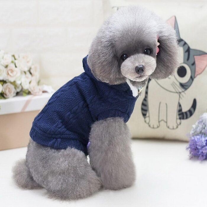 Світер для собак SMALLLEE_LUCKY_STORE з капюшоном, теплий худі, куртка, верхній одяг для маленьких собак, блакитний, розмір M (Спина: 24 см, Груди: 37 см)