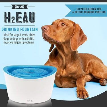 Автоматична питильна фонтан-поїлка для собак Zeus, 6 літрів, біло-блакитна