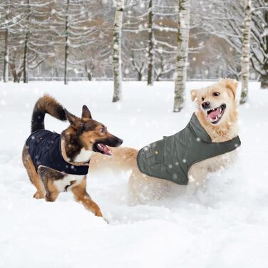 Зимовий теплий одяг для собак: куртка з флісу, одяг для собак, піджак, тепла куртка для чихуахуа, такса, блакитний, L