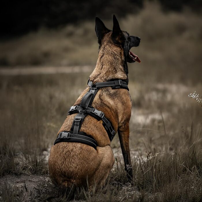 Нашийник для собак OneTigris HOUNDLOCK тактичний, чорний, M (14-27 кг)