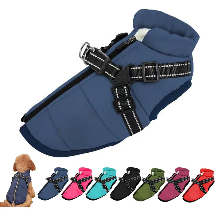 Водонепроникна зимова куртка для собак Sport, з інтегрованим повідком, S, блакитна