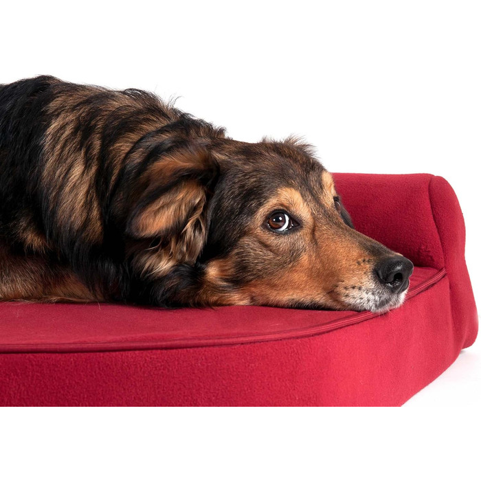 Подушка для собак Karlie Kissen Ortho Visco L, 60x48x21 см, червона