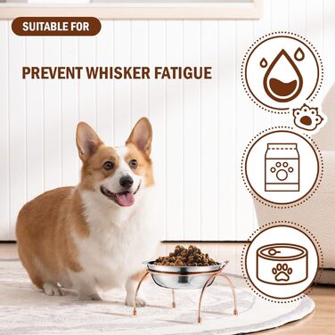 Набір з 6 піднятих мисок для котів, 14 см, нержавіюча сталь, миски для котів з металевим підставкою, без стресу, для вусів, піднята годівниця та миска для води для котів, кошенят, маленьких собак, 340 мл