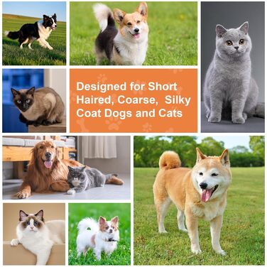 Двостороння щітка для собак та котів з щетиною кабана та пензлем, для догляду за шерстю, підходить для короткошерстих порід, з дерев'яною ручкою з гумовим покриттям