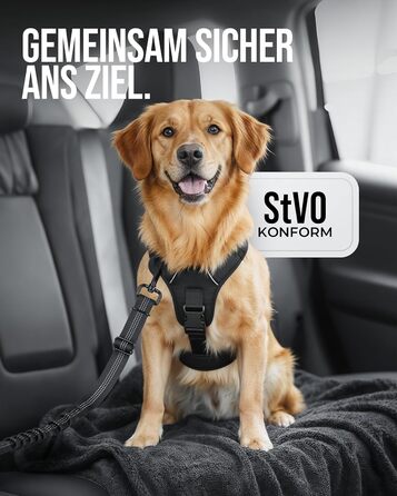 Автомобільний повідок для собак 'Argo' – регульований безпечний повідок з амортизацією та ISOFIX – для всіх порід собак (Розмір S) (Чорний, L (63-87 см))
