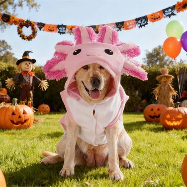 Костюм для собак Axolotl від FLAdorepet, карнавальний костюм рибки-саламандри, одяг для собак середніх та великих порід, зимовий костюм, капюшонний халат, піжама, кумедний одяг для догів, лабрадорів, бульдогів, розмір 6XL (Обхват грудей 84 см, Вага 23-27 