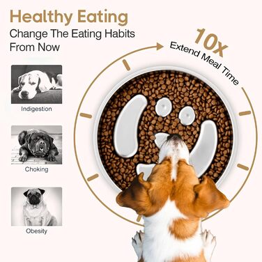 Миска для собак Slow Feeder з нержавіючої сталі з силіконовою основою, 2 чаші, велика місткість, для повільного годування, всіх порід
