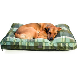 колір: франк