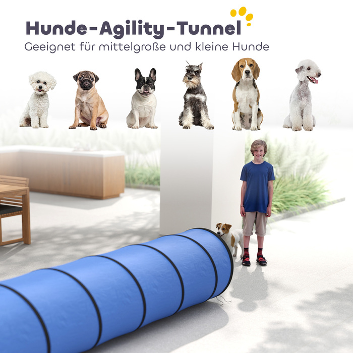 Тунель для собак Agility (300 x 50 см) з 4 анкерами для кріплення та сумкою для перенесення, ігровий тунель для малих та середніх порід, синій