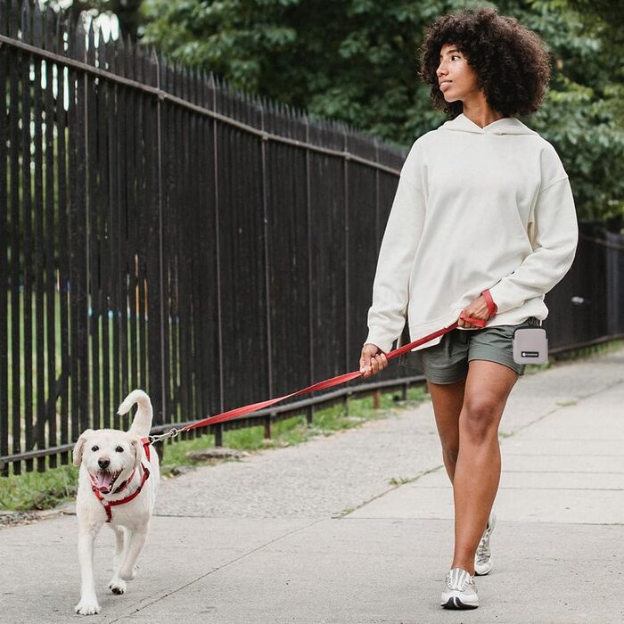 Сумка для ласощів для собак COOWONE з кликером для дресирування, водонепроникна, з тримачем для пакетів, чорна та сіра