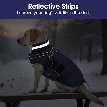 Зимовий одяг для собак ASENKU: теплий, водонепроникний, вітрозахисний, з світловідбиваючими елементами. Підходить для малих, середніх та великих собак. Кольори: зелений (S), синій (S).