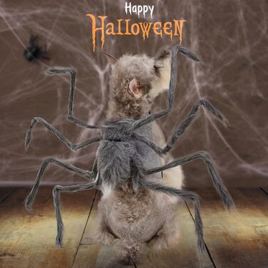 Костюм на Хелловін для тварин BT Bear: Павук, для собак, коричневий, розмір M