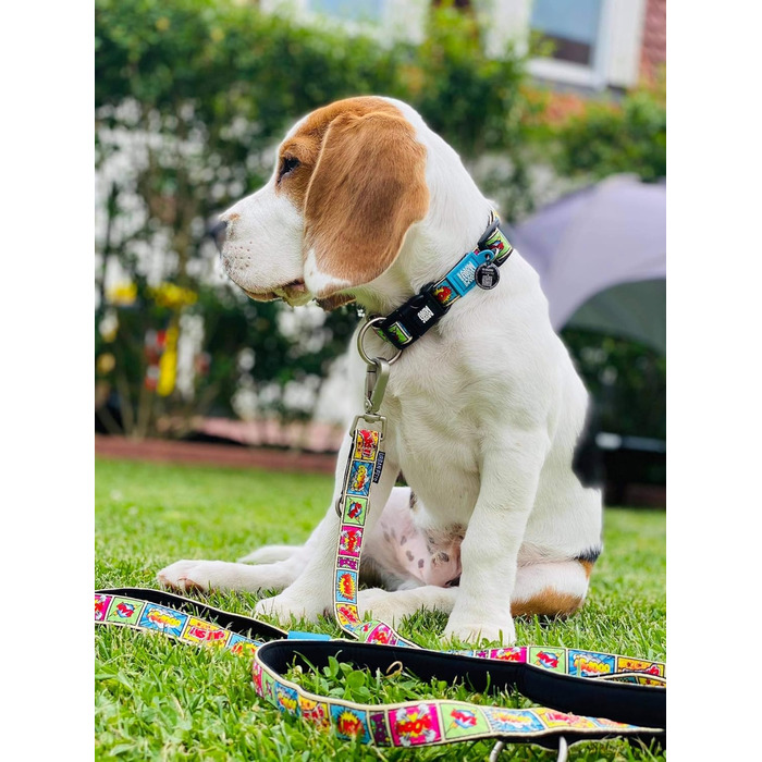 Нашийник для собак Max & Molly Gotcha! з Smart ID: водонепроникний, зручний, з коміксом, ширина 2.5 см