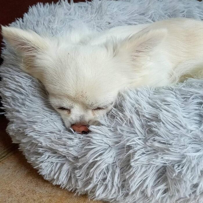 Кругле ліжко для собак ZINN, м'яке, миється, велике, світло-сіре, розмір M (70 см)