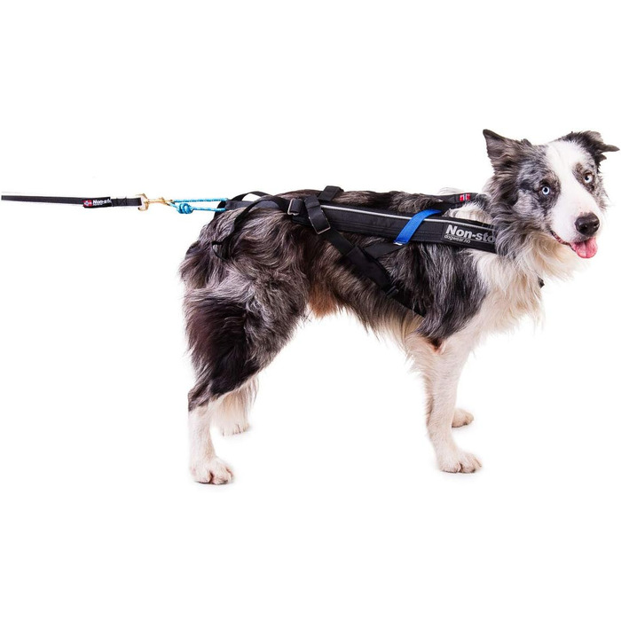 Вольєр для цуценят Dog Copenhagen Trixie, 1 шт.