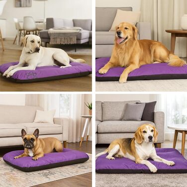 Килимок для собак ECO: великий, середній, малий - вологостійкий, м'який, 90x60x8 см (фіолетовий)