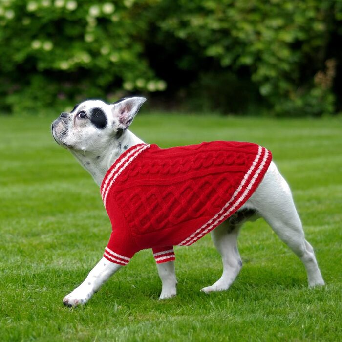 Теплий собачий светр LiebeDD з V-подібним вирізом для маленьких та середніх собак, червоний (M)