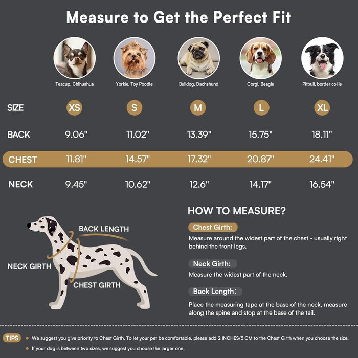 Светр для собак Queenmore, теплий та еластичний, для такс, мопсів, грейхаундів, сірий, розмір M