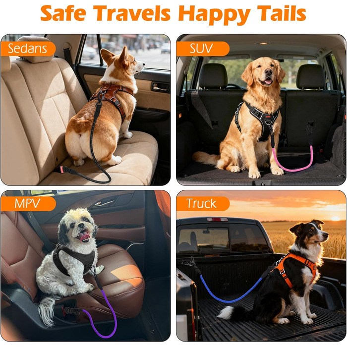 Ремінь безпеки для собак PetBonus в авто: міцний поводок-переноска для маленьких, середніх та великих собак (чорний)