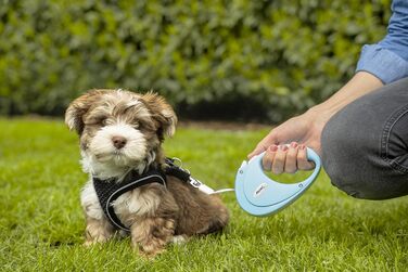 Рулетка для собак і котів Flexi Hundeleine, 2 м, блакитна