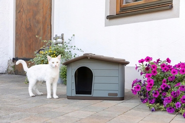 Будиночок для кота, коричневий, прямокутний, 60х40х40 см