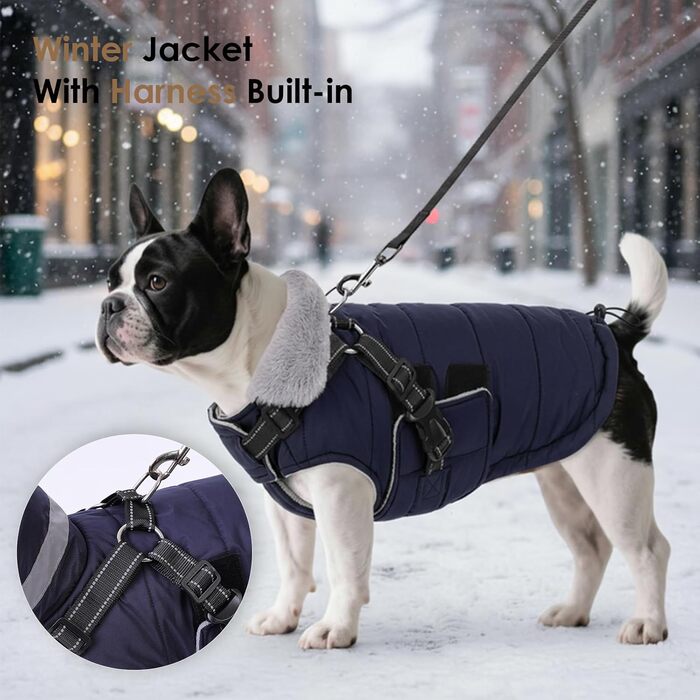 Зимовий одяг для собак ASENKU: теплий, водонепроникний, вітрозахисний, з світловідбиваючими елементами. Підходить для малих, середніх та великих собак. Кольори: зелений (S), синій (S).