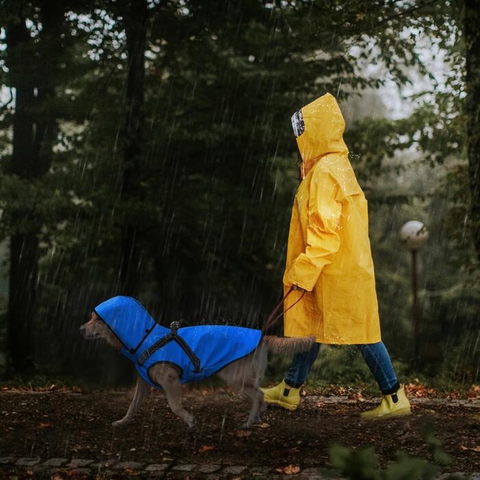 Водонепроникний дощовик для собак Mosucoir з капюшоном, великий та середній розмір, блакитний (L)