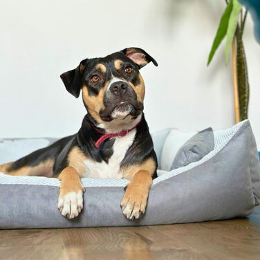 Квіткове ліжко для котів та собак 4L Textil Teo: м'яке, зручне, миється, 60x40 см, сірий колір