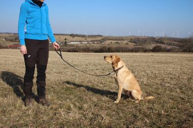 Шкіряний повідок Activity4Dogs для середніх і великих собак, 1 м, 2 см, чорний, короткий, німецький, для дресирування