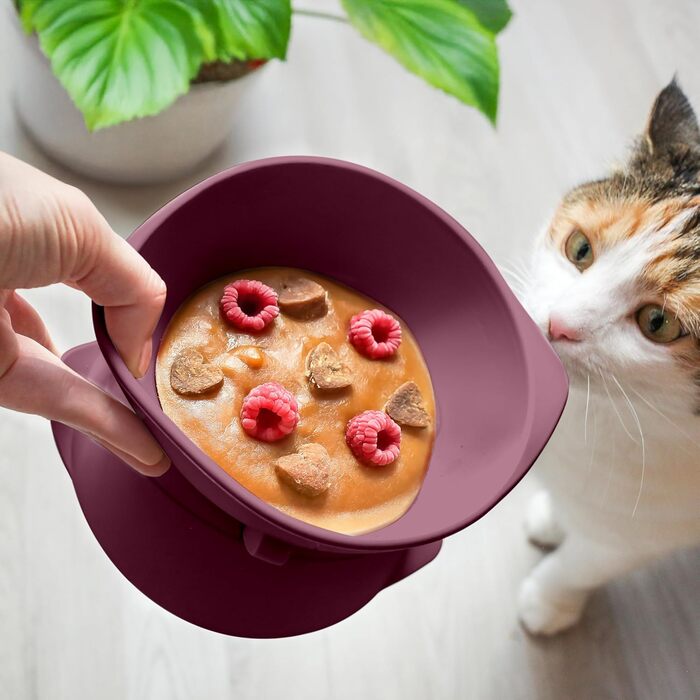 Підвищений миска для кота з регульованим нахилом | Силіконовий миска для кота | Миска для кота, що піднімається