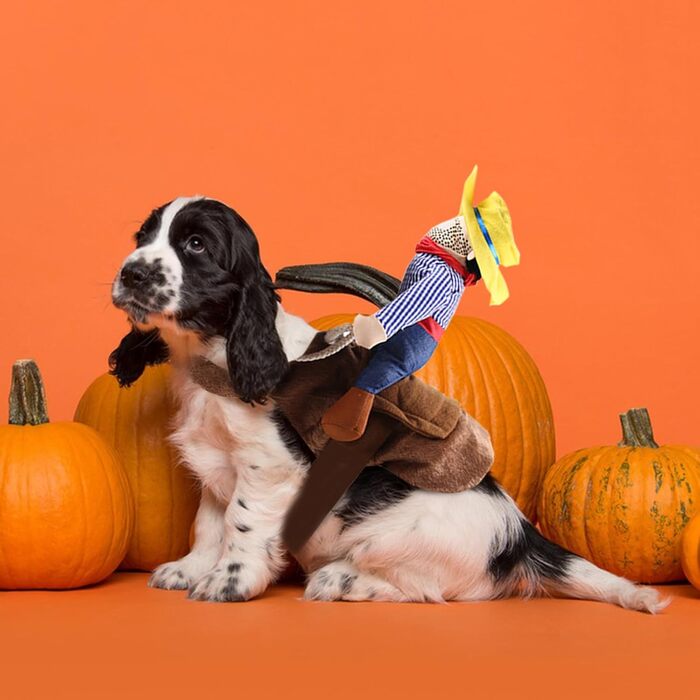 Костюм на Хелловін для собак, стиль ковбой/рейдер, розмір L