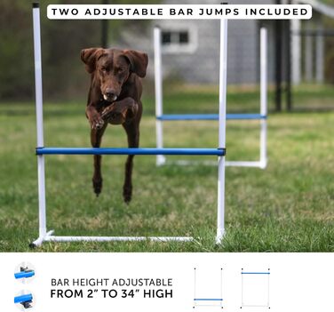 Набір для аджиліті для собак Better Sporting Dogs Deluxe: 7 елементів | Стрибки, тунелі, weave-стійки, бокс для відпочинку