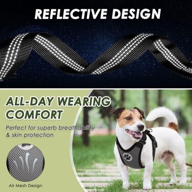 Шлейка для собак SlowTon з кріпленням для автомобіля, дихаюча сітка з латексу, для цуценят та дорослих собак, підходить для спорту (Сірий, S)