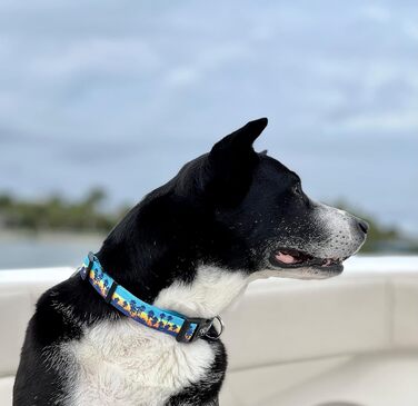 Shaka's Salty Paws нашийник для собак Sunset Palms, регульований, для великих порід, 45,7-66 см, 22,7-40,8 кг