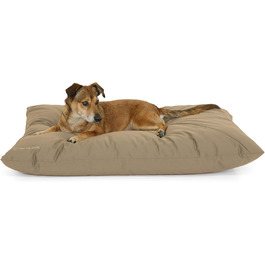 колір: золаброун